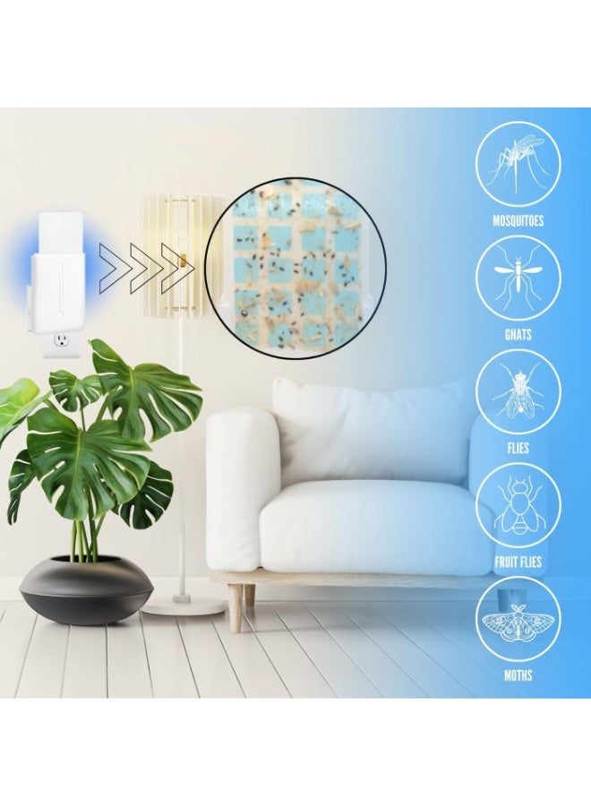 RAHAYM Indoor Plug-in Mosquito Killer, Flying Insect Trap for Flies, Fruit Flies, Moths & Gnats, UV Attractant Catcher & with Adjustable Brightness Night Light,1 Device + 6Pcs Adhesive Cards - Image 2
