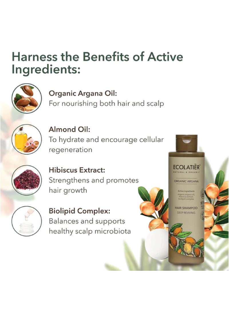ECOLATIER شامبو إيكولاتير ديب ريفايل للشعر مع زيت الأركان العضوي 250 مل - Image 3