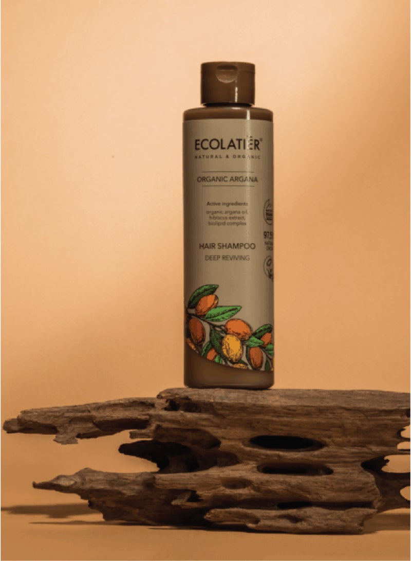 ECOLATIER شامبو إيكولاتير ديب ريفايل للشعر مع زيت الأركان العضوي 250 مل - Image 4