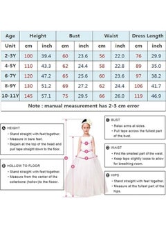 Cinderella Princess Costume, Girls Dress Girls Party Cosplay, Princess Birthday Dress - pzsku/Z491D5AE5D9DA1E27E75EZ/45/_/1721358586/62dcc3c6-a38e-41ed-bfda-c2633707bacf