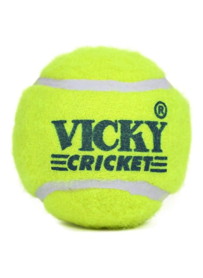 فيكي Cricket Ball Tennis Heavy Pack Of 6 Yellow Color  - Image 2