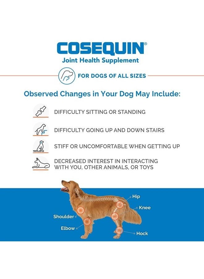 Nutramax Laboratories - Nutramax Cosequin Maximum Strength Joint Health Supplement for Dogs - With Glucosamine, Chondroitin, and MSM, 60 Chewable Tablets - Image 1
