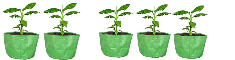 COIR GARDEN Large Green Grow Bags for Terrace Gardening for Banana, Papaya 24" X 24" inch Pack of 5 - Image 1