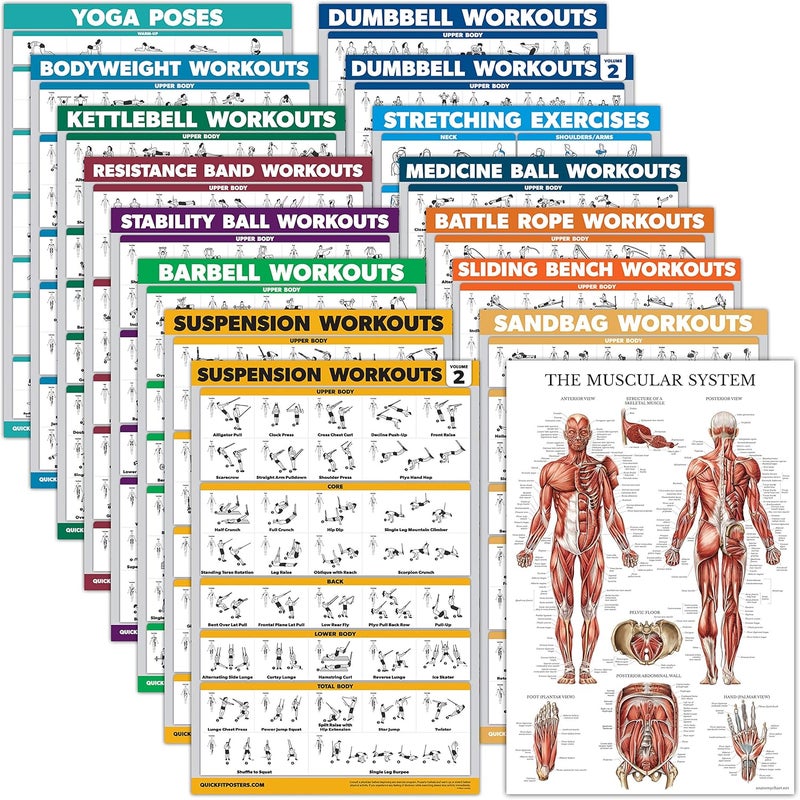 Palace Learning 16 Pack - Exercise Poster Set, Dumbbell, Suspension, Kettlebell, Resistance Bands, Medicine Ball, Battle Rope, Stretching, Bodyweight, Barbell, Yoga, Exercise Ball, Muscular (LAMINATED, 18" x 24") - Image 1