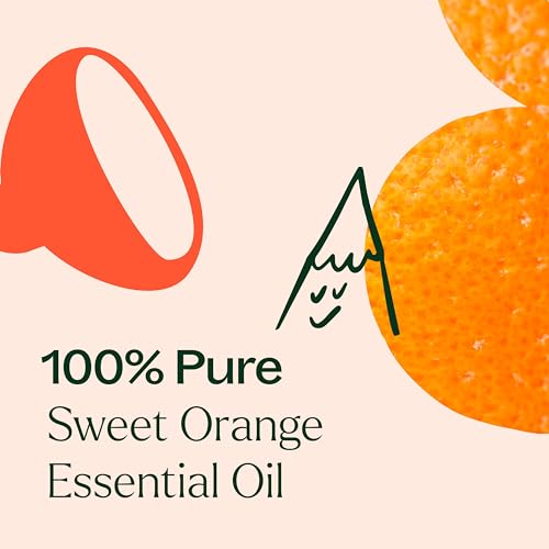 Plant Therapy Sweet Orange Essential Oil 100% Pure, Undiluted, Natural Aromatherapy, Therapeutic Grade 10 mL (1/3 oz) - Image 5