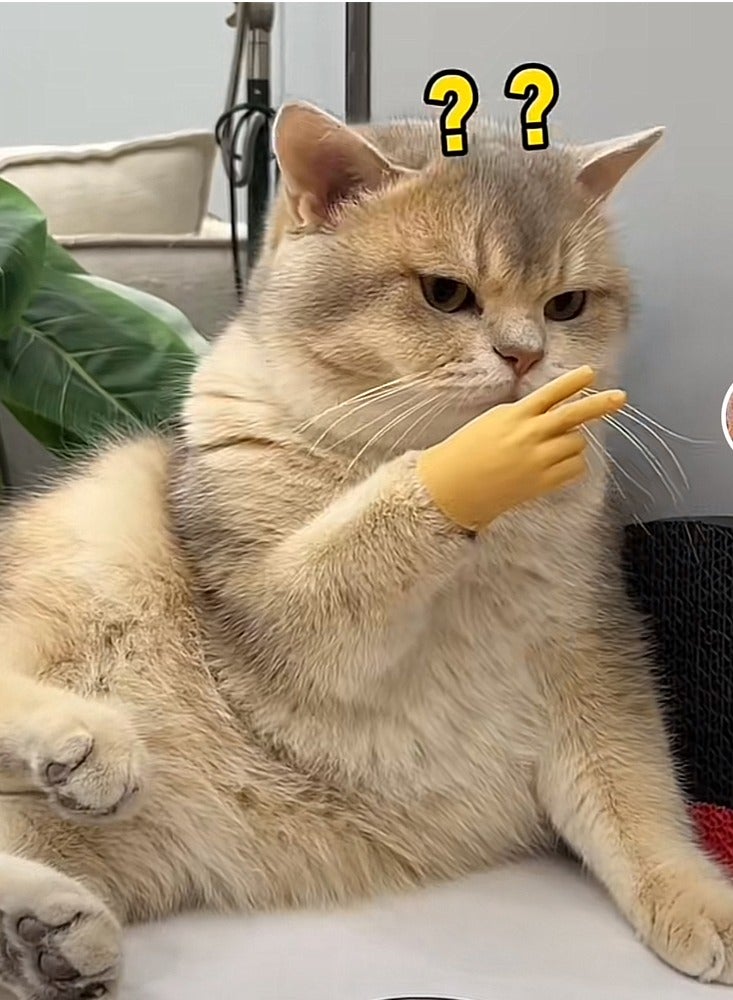 Furtey Pet Toy, Finger Gloves for Cat, Suitable for Tiktok Videos Filming - Image 3