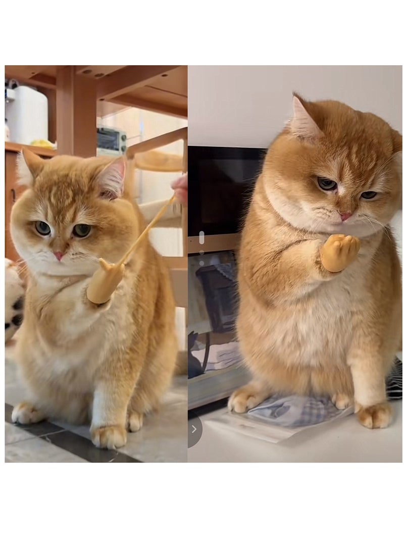 Furtey Pet Toy, Finger Gloves for Cat, Suitable for Tiktok Videos Filming - Image 2