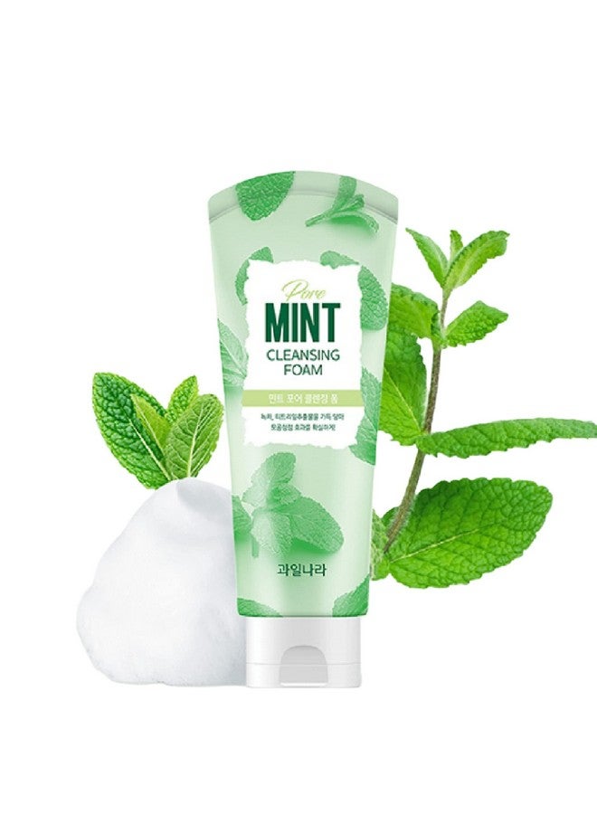 جاشينا ستوري غسول الوجه الكوري برغوة التنظيف بنكهة النعناع من غاشينا ستوري (مجدد)، منظف الوجه الكوري ينعش البشرة المعرضة لحب الشباب 130 جم/4.58 أونصة كوايلنارا (عبوة واحدة) - Image 1