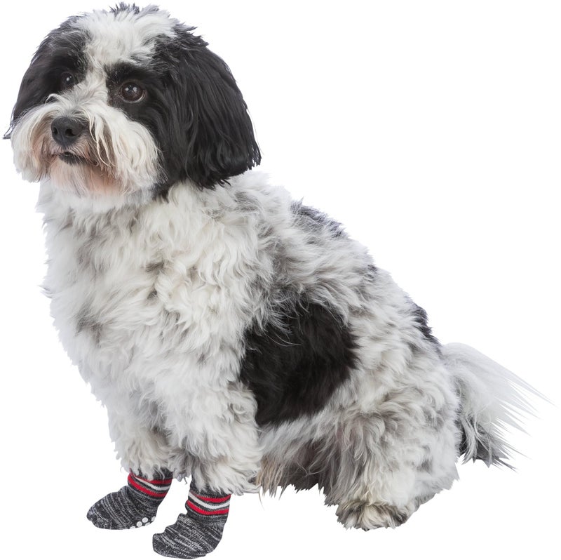 Trixie 19501 Non-Slip Grey Dog Socks, XS-S, 1 Pair - Image 4
