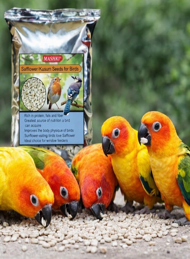 MASHKI Safflower Seeds/Kusum Seeds for Birds Dry and Clean Kusum beej for Bird Food Natural Nutrition Food (180), All Life Stages, 1 Count - Image 3
