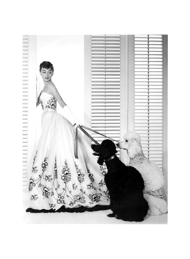 PAVOI Sabrina Audrey Hepburn (Wearing A Givenchy Gown) 1954 Photo Print (16 x 20)