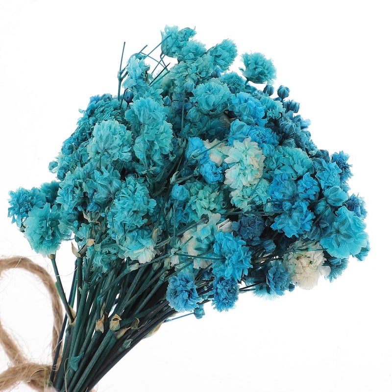 Mini Dried Flower Bouquet Set of 5 Preserved Flowers for Home Decor Wedding Centerpieces - Image 4