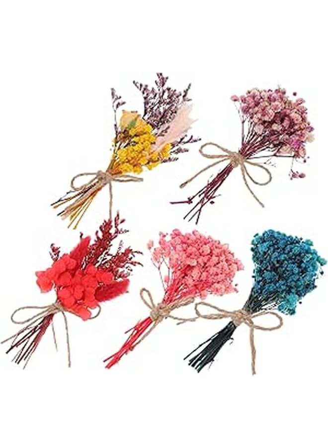 Mini Dried Flower Bouquet Set of 5 Preserved Flowers for Home Decor Wedding Centerpieces - Image 1