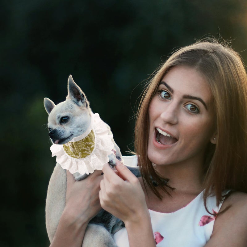 Puppy Scarfs Reusable Pet Scarfs Pet Bibs for cat Pet Scarfs Dog Collars for Decor - Image 3