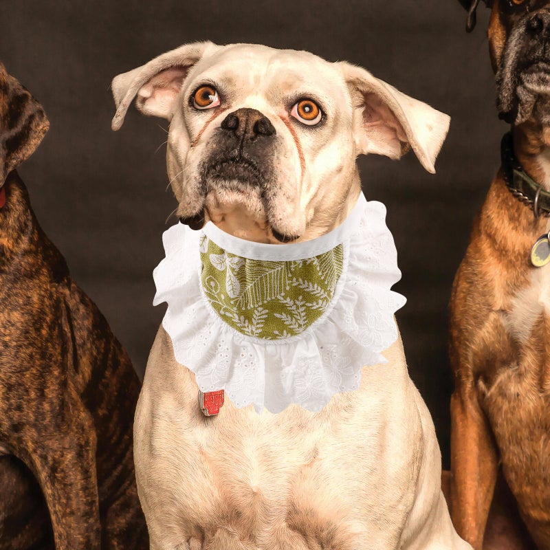Puppy Scarfs Reusable Pet Scarfs Pet Bibs for cat Pet Scarfs Dog Collars for Decor - Image 4