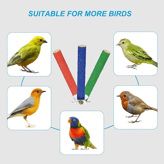 PETSARY Bird Claw Grinding Perch for Parrots | Wood Single Head Screw Stand Pole | Natural Parakeet Perch Toy Platform Grinding Stick | Cage Accessories for Cockatiel Lovebird Budgies | 20cm Green - Image 3
