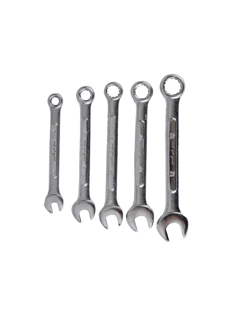 Epsilon Epsilon 5 Piece Combination Wrench Set- ET1147  - Image 2