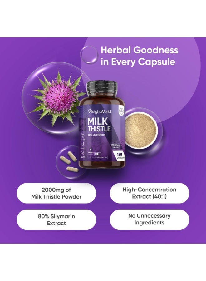 WeightWorld Milk Thistle Capsules - 180 Capsules - 6 Months Supply - Just 1 per Day - 80% Silymarin - 40:1 Extract - Vegan & Non-GMO - GMP-Approved Milk Thistle Herbal Supplements - Image 2