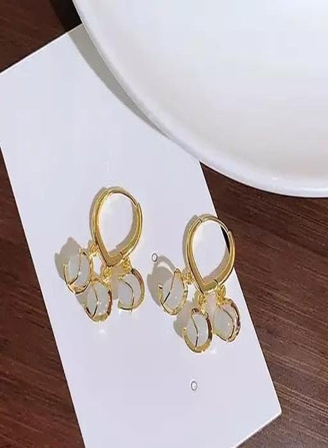 Shivarth American Beautiful Multicolor Shining Stone Pearls Beads Small Hoop & Dangle Cute Earring Set Of 1Pair Earring Use for Girls & Woman - Image 5