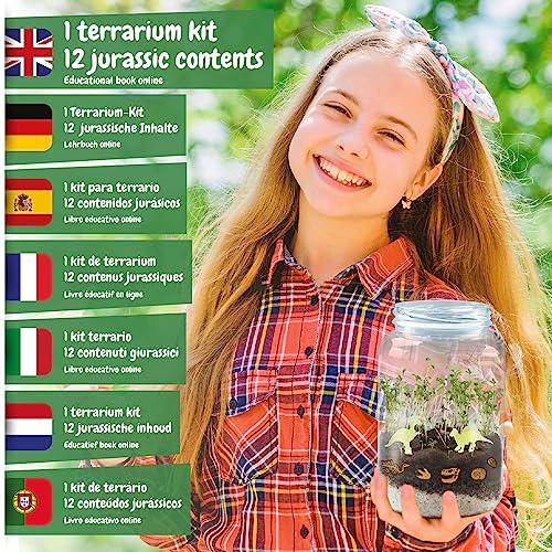 Science4you Grow and Glow Dinosaur Terrarium Kit for Kids Make Your Own DIY Dinosaur Habitat Ecosystem Glow in The Dark Mini Terrarium Plant Growing Kit for Boys and Girls Ages 6 7 8 9 - Image 5