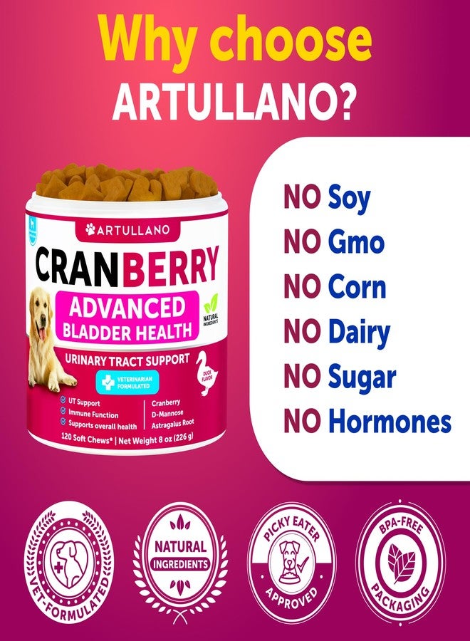 Artullano 2 Pack (240 Chews Total) Dog UT Treats - Cranberry Chews for Dogs - Urinary Tract & Bladder Support Supplement with Natural Cranberry Extract - Tasty Soft Bites with Fish Oil, Pumpkin, D-Mannose - Image 5