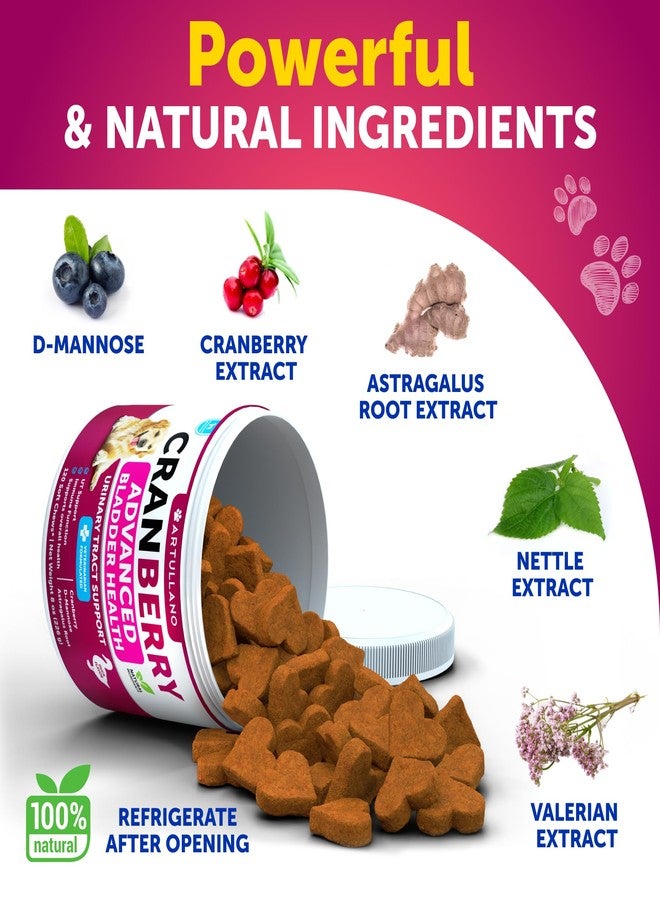 Artullano 2 Pack (240 Chews Total) Dog UT Treats - Cranberry Chews for Dogs - Urinary Tract & Bladder Support Supplement with Natural Cranberry Extract - Tasty Soft Bites with Fish Oil, Pumpkin, D-Mannose - Image 4