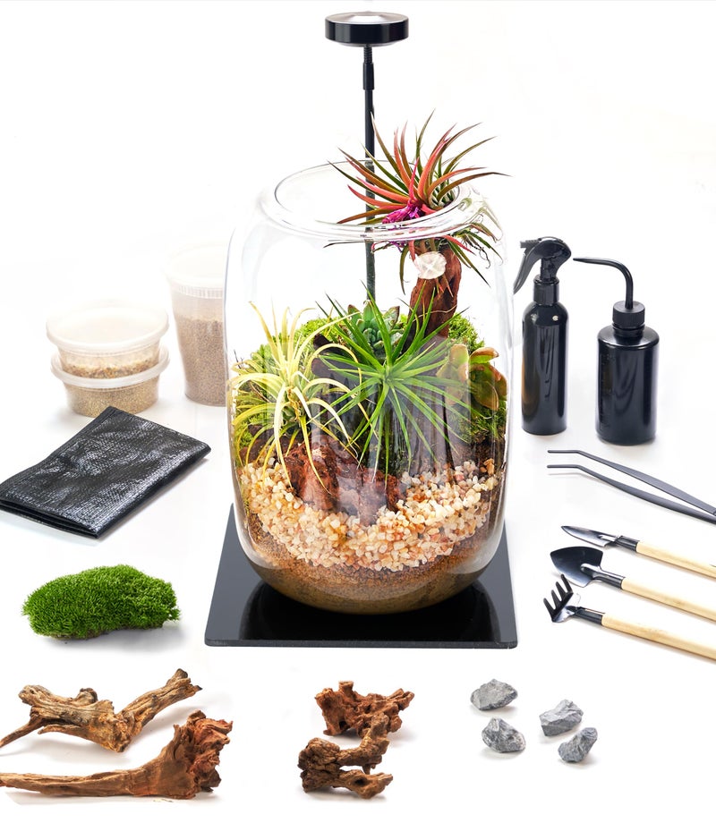 LUCKYRUNES Terrarium Kit with Grow Light â€“ 24-Piece DIY Glass Terrarium Set with Tools, Moss, Driftwood, Soil & Pebbles â€“ Mini Gardening Kit for Air Plants, Succulents & Indoor Desk Decoration Gift - Image 1