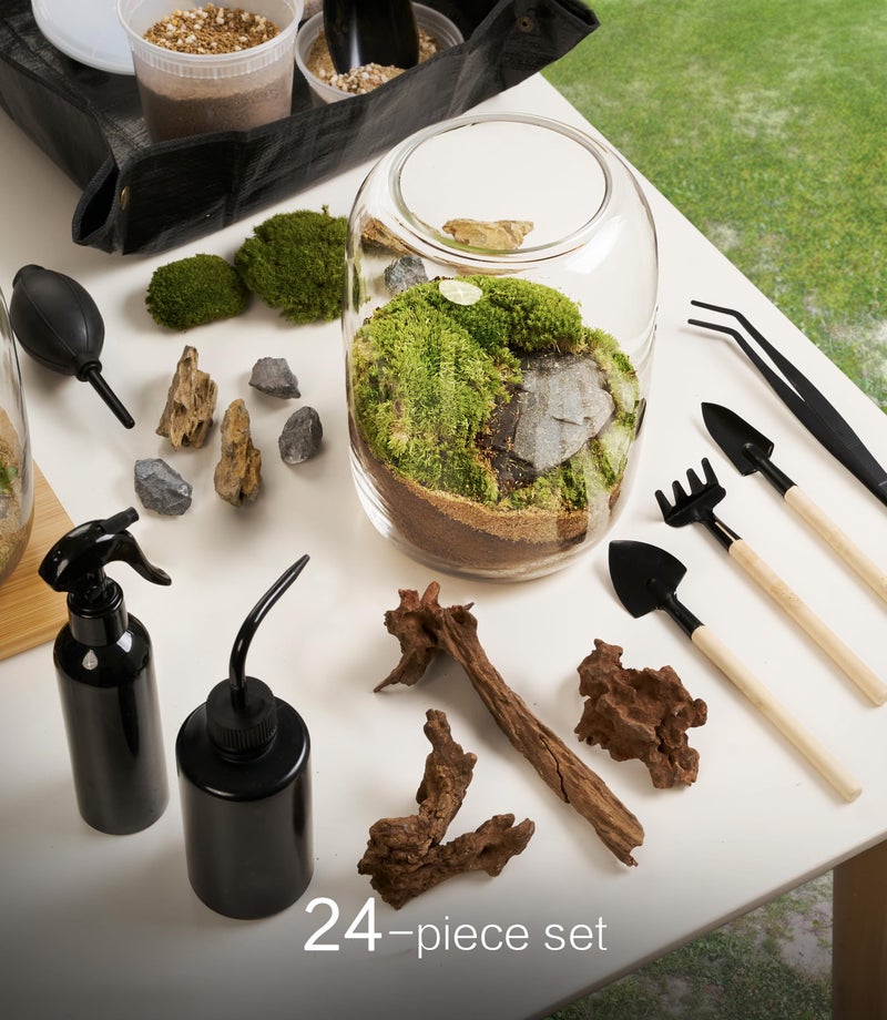 LUCKYRUNES Terrarium Kit with Grow Light â€“ 24-Piece DIY Glass Terrarium Set with Tools, Moss, Driftwood, Soil & Pebbles â€“ Mini Gardening Kit for Air Plants, Succulents & Indoor Desk Decoration Gift - Image 2