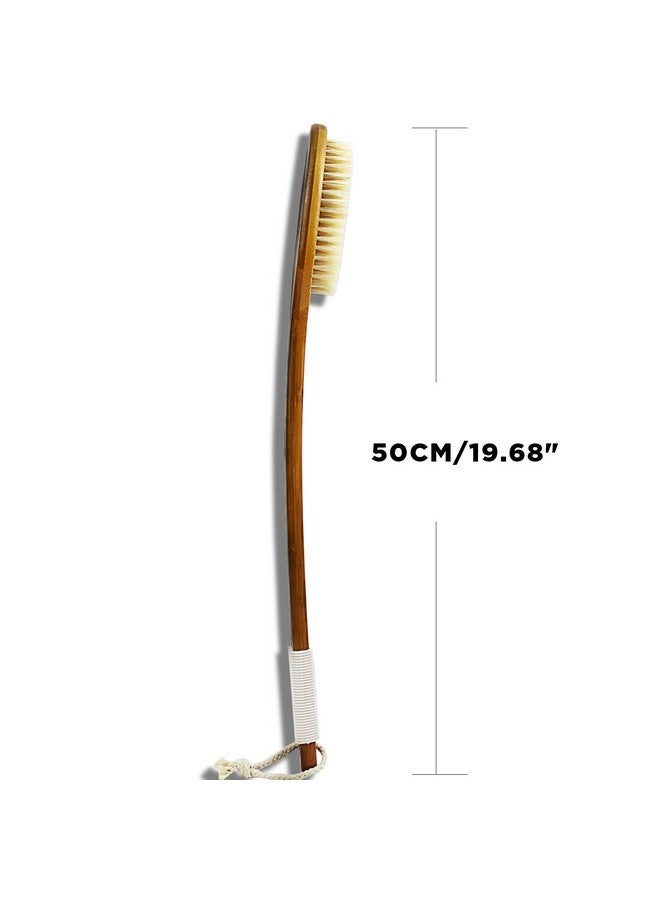 ICDI ICANdOIT Icandoit-19.68Inch Natural Boar Bristles Anti-Slip Extra Long Handle Bath Brush,Bent Handle Shower Scrubber For Exfoliating,Shower Back Brush,Exfoliation Set With Pumice Stone (1 Pack) - Image 3