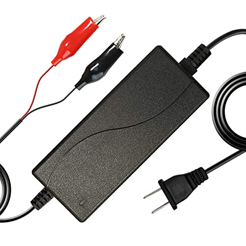 ExpertPower 12V 2A Smart Charger for Lithium LiFePO4 Deep Cycle Rechargeable Batteries [UL Listed] - Image 1