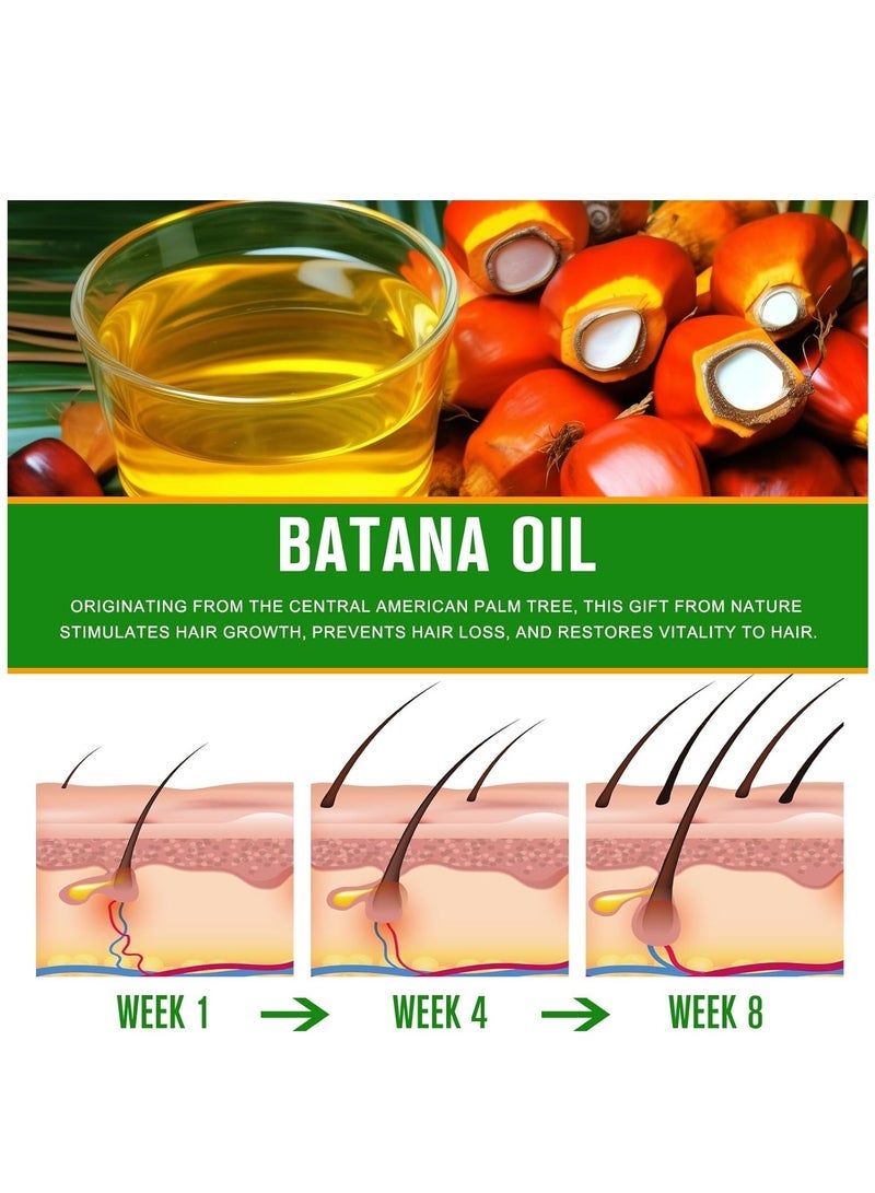 ALIVER 60ml Natural Batana Oil for Hair Care Hair Conditioner Oil for Thin Hair Repair Damaged Hair Nourishes Thin Hair Scalp Skin and Loss Hair Growth Fit for All Hair Types Raw Batana Oil - Image 4