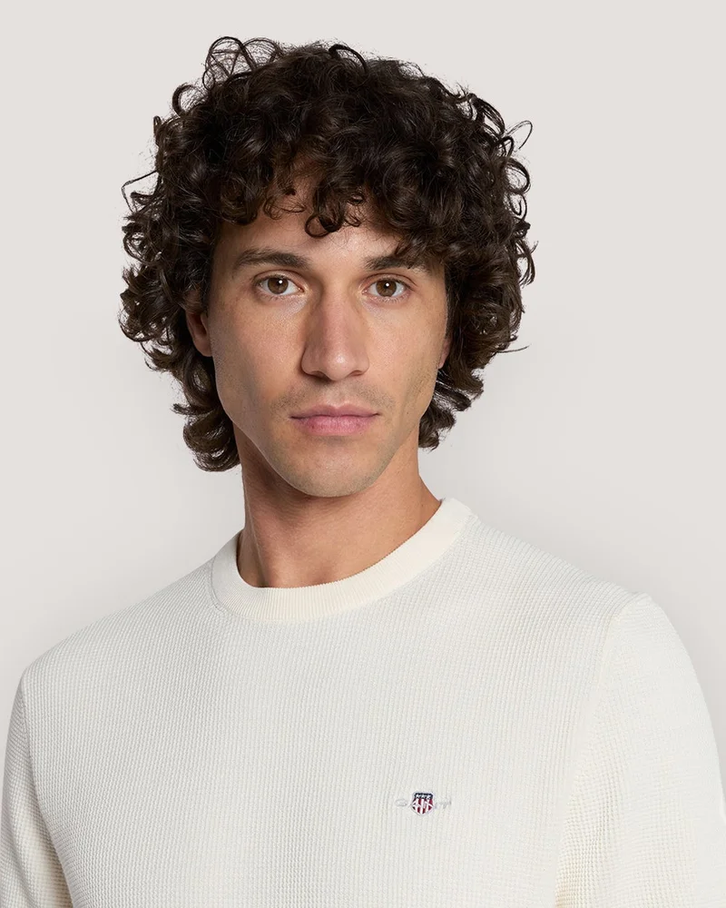 GANT  Gant Micro Textured Cotton Ss C-Neck for Men | Best Price UAE