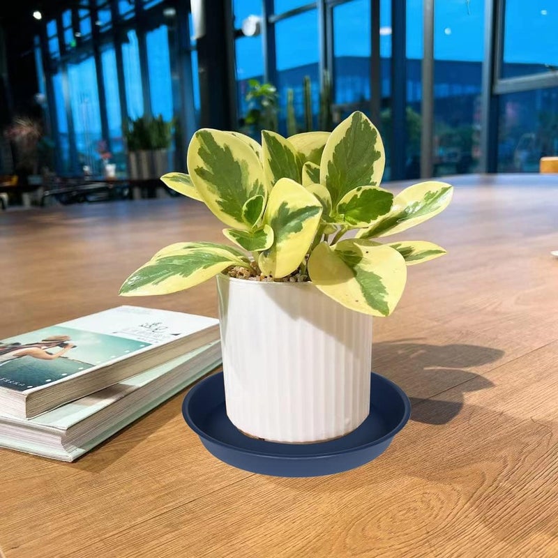 Bleuhome 2 Pack of 8 inch Plant Saucer Clear, Heavy Duty Plastic Plant Water Tray 8 inch Round, Flower Plant Saucers for Indoors No Holes, Plant Dishes Saucer for Planter 7"/8" (8", Blue) - Image 3