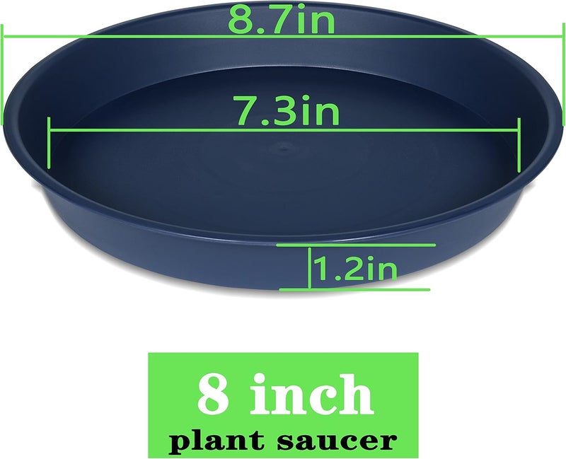 Bleuhome 2 Pack of 8 inch Plant Saucer Clear, Heavy Duty Plastic Plant Water Tray 8 inch Round, Flower Plant Saucers for Indoors No Holes, Plant Dishes Saucer for Planter 7"/8" (8", Blue) - Image 2