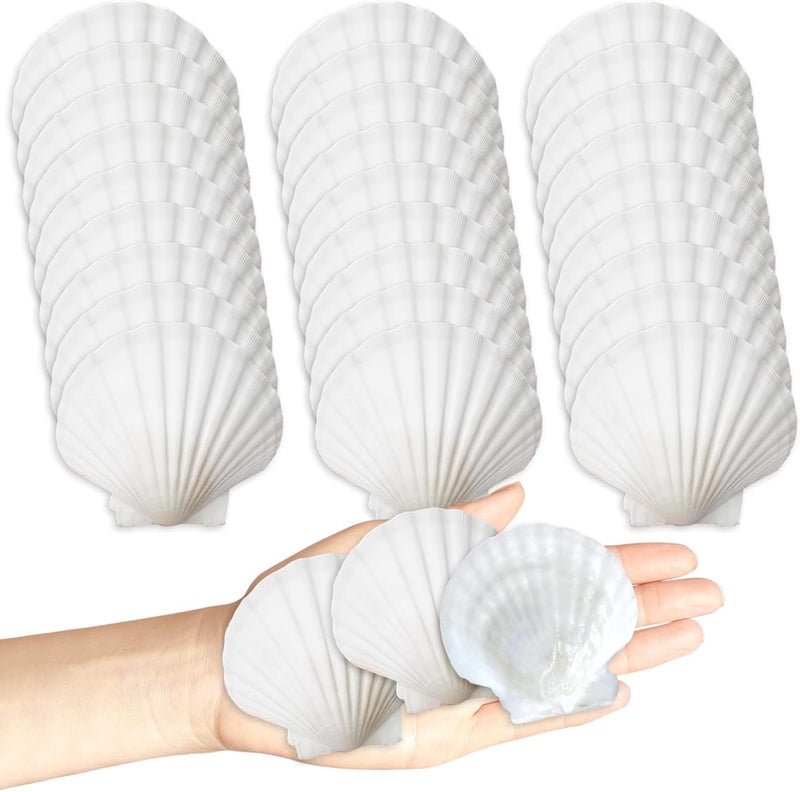 YOIYINI 30Pcs Seashells for Crafts,Scallop Shells for Beach Decoration,2-3In Seashells for DIY Craft Painting，White Sea Shells for Beaching Wedding,Party,Home Decoration - Image 1