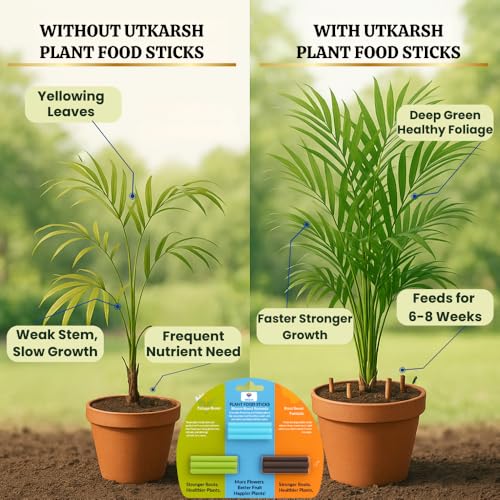 Utkarsh Plant Food Bloom Sticks for Flowers - Pack of 15 Sticks | Natural & Organic Nutrition for Indoor & Outdoor Home Garden Flowering Plants | Multi-Purpose Natural Plant Growth Booster - Image 5