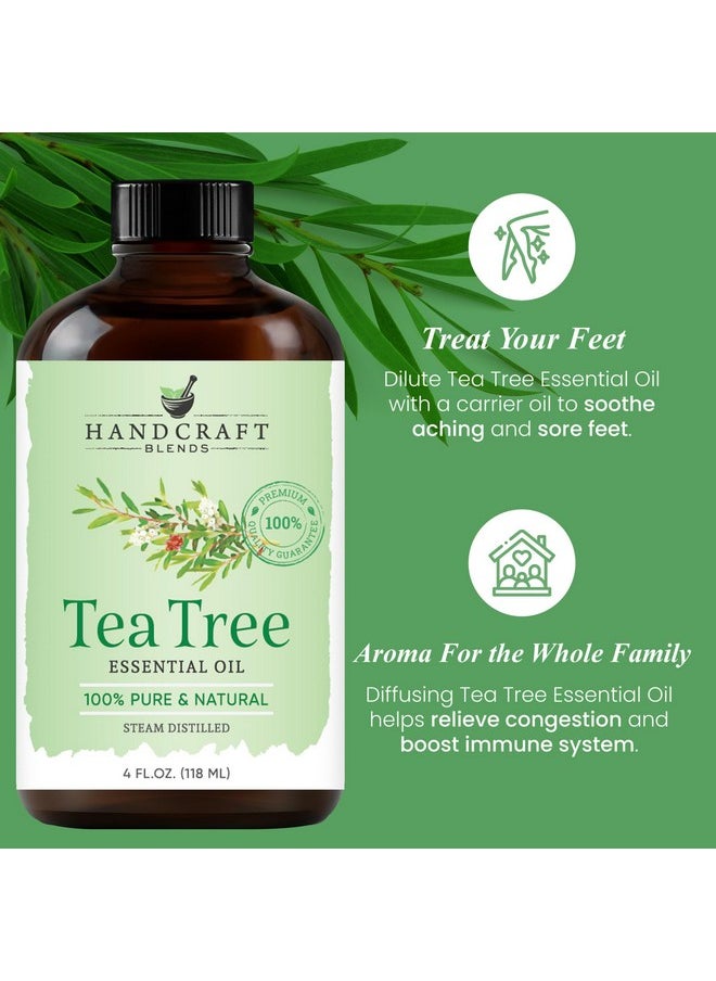 Tea Tree Essential Oil Huge 4 Fl Oz 100% Pure And Natural Premium Grade With Glass Dropper - pzsku/Z493A1E322CA59A5F5D56Z/45/_/1724125863/ccc0bc22-ba13-4cae-9515-d732afe23e21