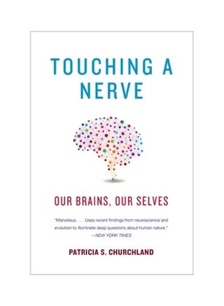 Touching A Nerve: Our Brains, Our Selves - pzsku/Z493AFD9BDEFC8E3EFD57Z/45/_/1738065679/047cbf3a-5773-4b10-8bb1-48d368973992