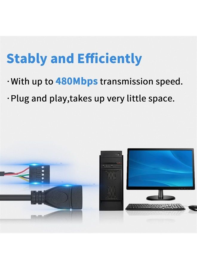 Duttek USB Header to USB Cable,Motherboard USB 2.0 Adapter Cable, USB 2.0 Type A Female to Dupont 9 Pin Female Header Motherboard Cable Cord (2-Pack 0.1M) - Image 5