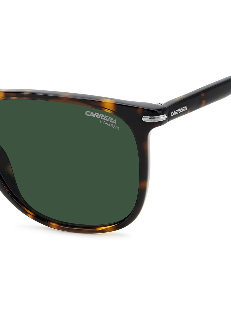 Carrera Carrera Sunglasses CARRERA 349/S  - Image 5