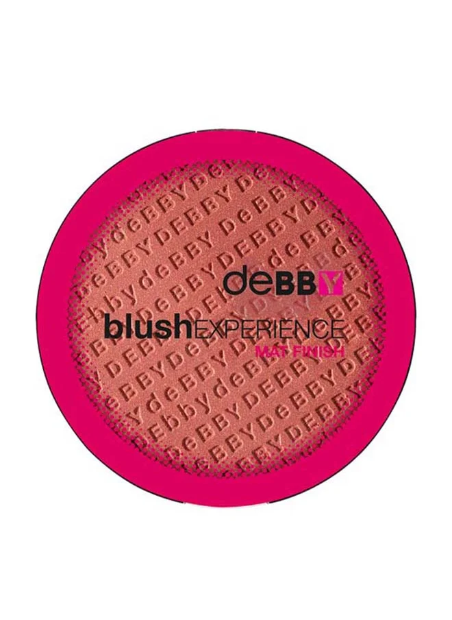 Debby BlushExperience Mat Finish 04