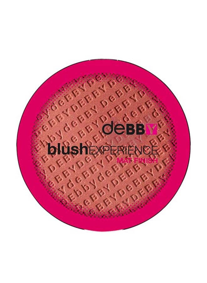 Debby BlushExperience Mat Finish 04 