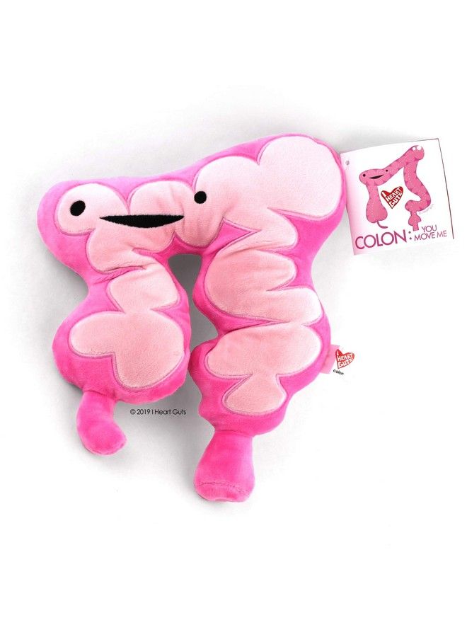I Heart Guts Colon Plush You Move Me 11" Colon Care Tips With Stuffed Toy - Image 3