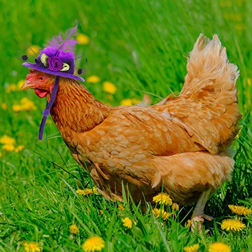 Weewooday 6 Pieces Chicken Hats for Hen Mini Chicken Helmet Accessories Feather Top Funny Small Hat Funny with Adjustable Elastic Chin Strap for Animal Costume (Fresh Color, Classic Style) - Image 4