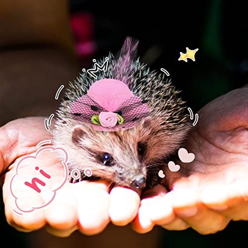 Weewooday 6 Pieces Chicken Hats for Hen Mini Chicken Helmet Accessories Feather Top Funny Small Hat Funny with Adjustable Elastic Chin Strap for Animal Costume (Fresh Color, Classic Style) - Image 5