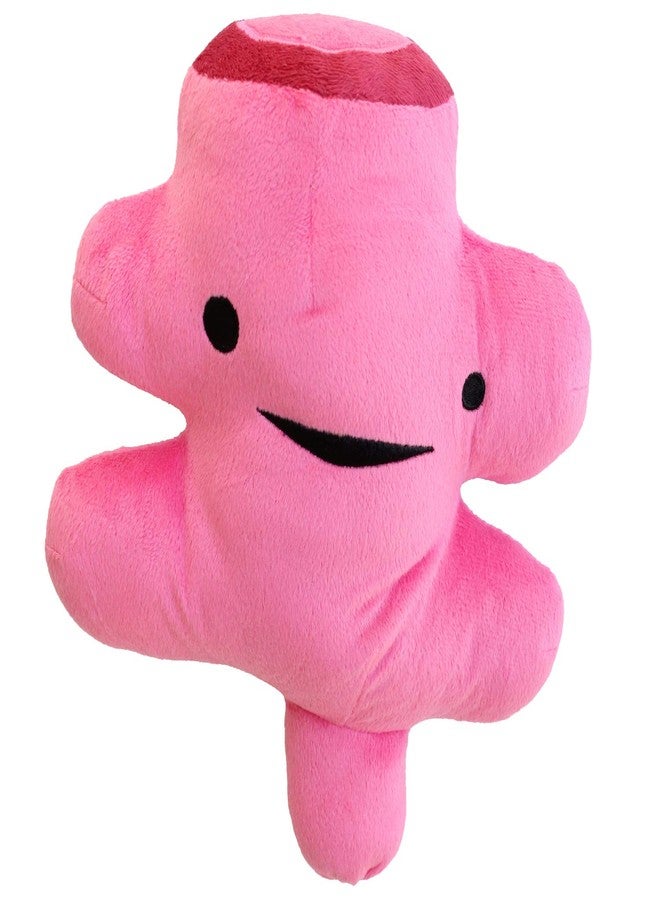 I Heart Guts Rectum Plush - Bringing Up The Rear - 10" Colorectal Surgery Stuffed Toy, Gift for Surgical Recovery, Butt Cancer, Prolapse Pillow, Colon Disease, Poop - Image 1