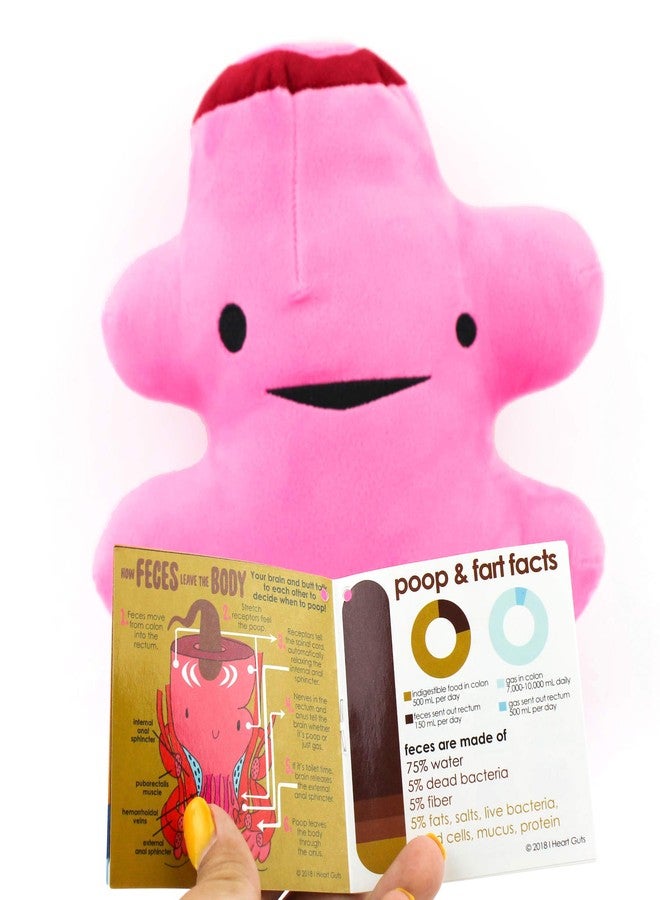 I Heart Guts Rectum Plush - Bringing Up The Rear - 10" Colorectal Surgery Stuffed Toy, Gift for Surgical Recovery, Butt Cancer, Prolapse Pillow, Colon Disease, Poop - Image 5