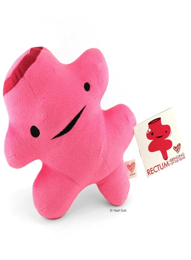 I Heart Guts Rectum Plush - Bringing Up The Rear - 10" Colorectal Surgery Stuffed Toy, Gift for Surgical Recovery, Butt Cancer, Prolapse Pillow, Colon Disease, Poop - Image 2