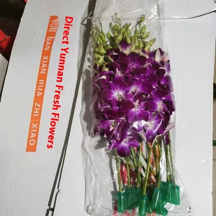 Bluejw Handmade Dried Flower Arrangement - Long Lasting 3-5 Years - Natural Yunnan Origin - Valentine's Day Wedding Decor - Dried Plants Included - Image 4