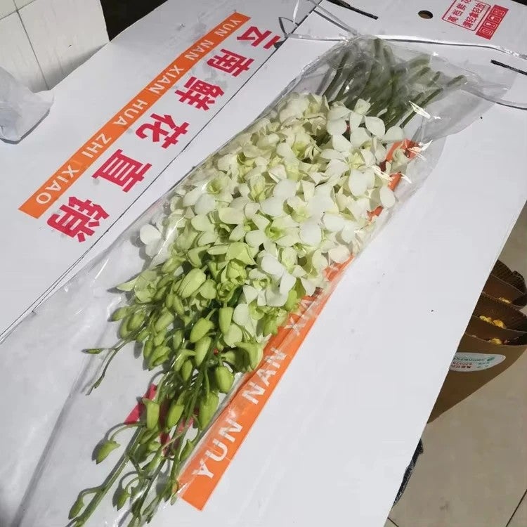 Bluejw Handmade Dried Flower Arrangement - Long Lasting 3-5 Years - Natural Yunnan Origin - Valentine's Day Wedding Decor - Dried Plants Included - Image 3